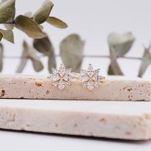 Load image into Gallery viewer, Lucce Constance Si Earrings Diamond