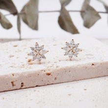 Load image into Gallery viewer, Constance Si Moissanite Earrings Moissanite