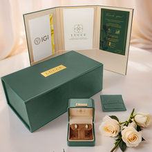 Load image into Gallery viewer, Lucce Carla Earrings Round Lab Diamond 0.50CTW Platinum