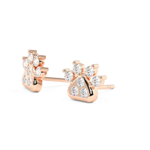 Load image into Gallery viewer, Zampa Earrings Moissanite