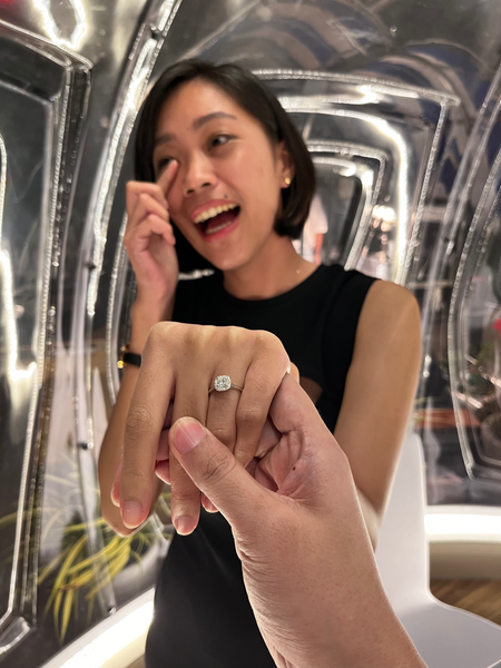 Gaudy and Christine - Proposal