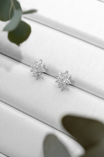 Constance Si Moissanite Earrings Moissanite