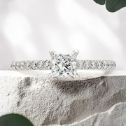 LUCCE FIRENZE™ Pavé Princess Natural Diamond 0.50ct F VS1 Ex GIA Platinum