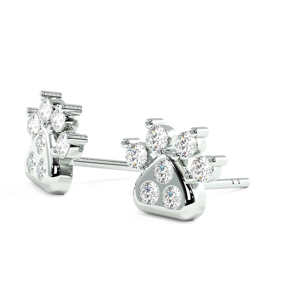 Zampa Earrings Moissanite